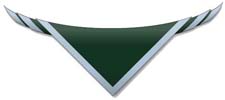 1st Norton-On-Tees Scout Group