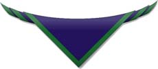 1st Eaglescliffe Scout Group