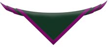 Stockton, Thornaby & District Scouts